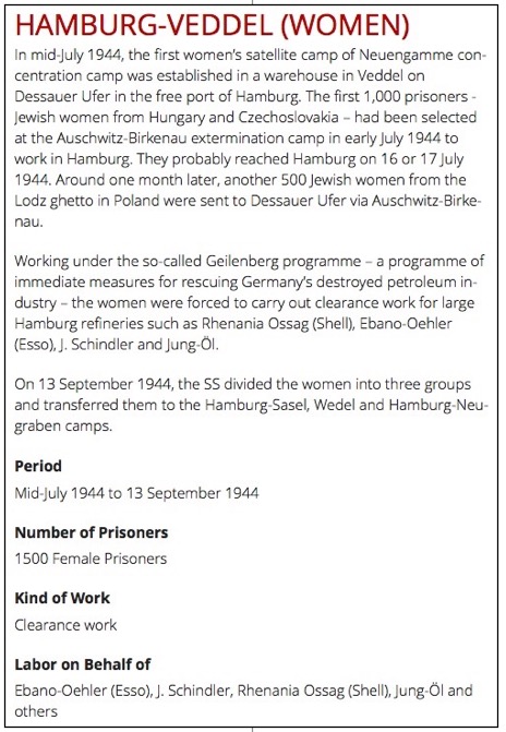 Hamburg-Veddel women / Rhenania Ossag screenshot